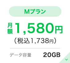 Mプラン|1580円（税込1738円）|データ容量20GB
