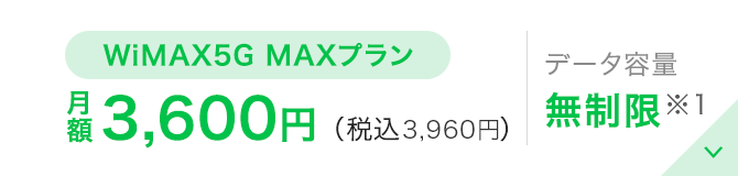 MAXプラン|3450円（税込3795円）|データ容量無制限